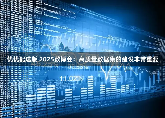优优配送版 2025数博会：高质量数据集的建设非常重要